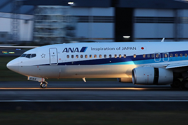 ANA B737-800（JA81AN)