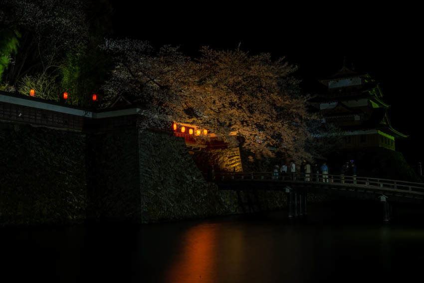 高島城　夜散る桜