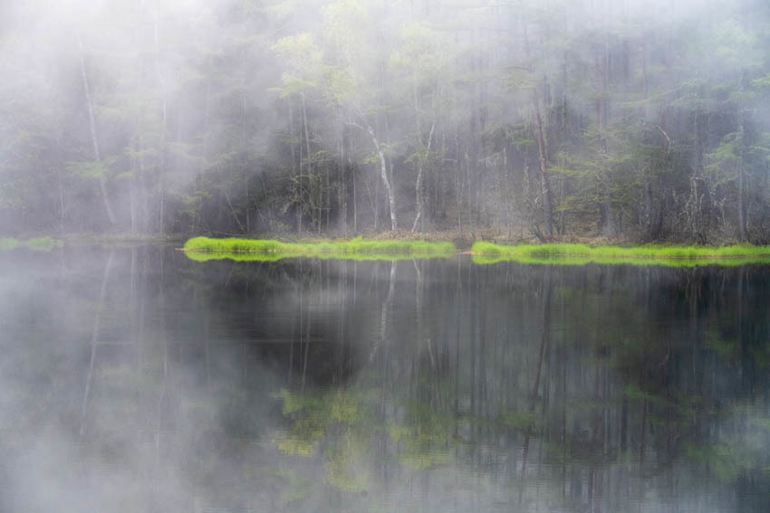 霧の池