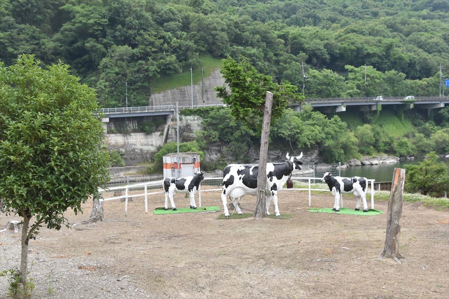 岩津の牛5