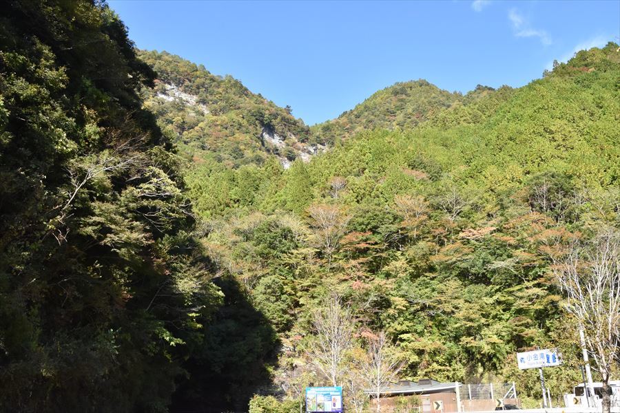 小金井滝3
