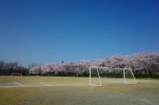 2022-03-30 桜花爛漫小江戸川越の桜 074